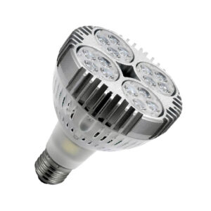 Lâmpada E27 PAR30 35w 6000k 3000lm