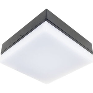 Aplique Tecto Antracite 4,2W 4000K 323lm IP54 C.14xL.14xAlt.6cm Alumínio+Plástico