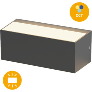 Aplique Parede 12w CCT 3000K/4000K/6500K 610-710lm Antracite IP65 Luz P Cima e Para Baixo 230x90x102 ABS+Vidro